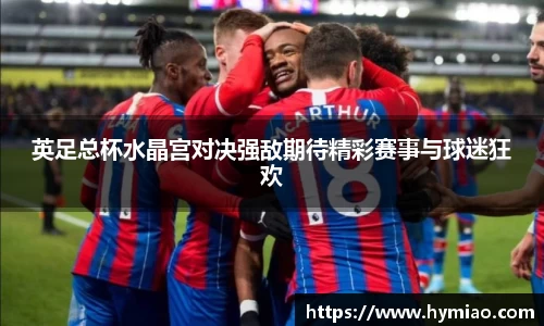英足总杯水晶宫对决强敌期待精彩赛事与球迷狂欢
